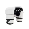 MMA Gloves